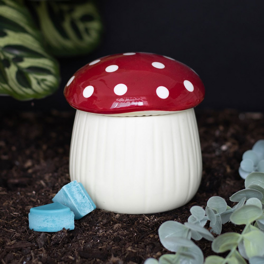 Brûleur Champignon