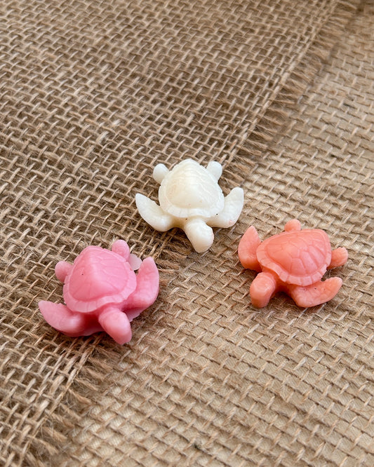 Fondant Parfumé Tortue